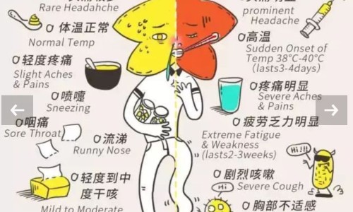 【母乳妈妈可以吃芒果对宝宝有影响吗】喂母乳期间能吃芒果吗 - 喂母乳期间能吃芒果吗网
