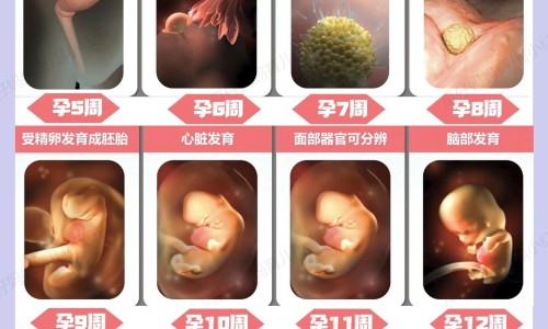 母乳喂养能吃芒果吗-【母乳妈妈可以吃芒果对宝宝有影响吗】喂母乳期间能吃芒果吗 - 喂母乳期间能吃芒果吗网